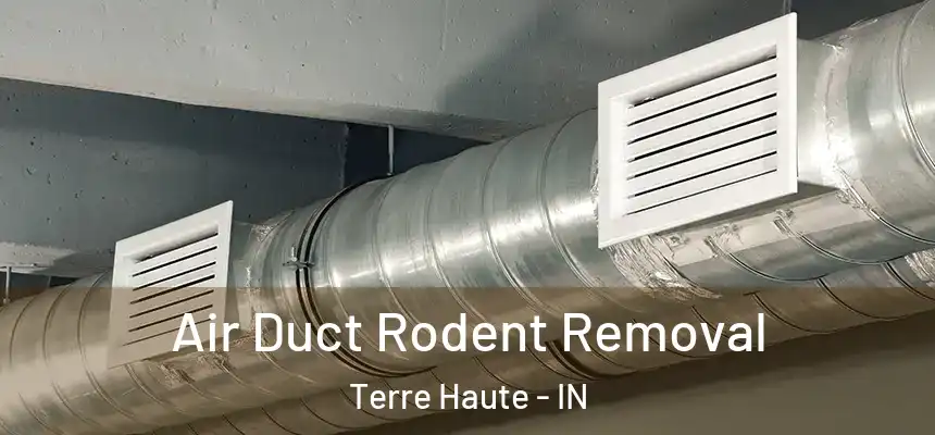 Air Duct Rodent Removal Terre Haute - IN