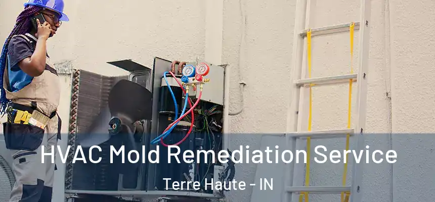 HVAC Mold Remediation Service Terre Haute - IN