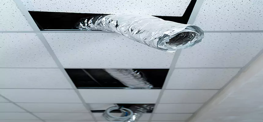 Affordable HVAC Sanitizing After Pest Removal in Terre Haute