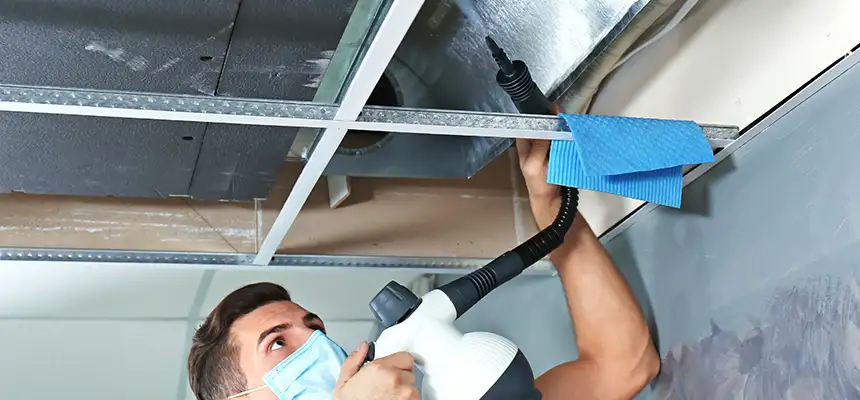Our Air Duct Rodent Removal Services in Terre Haute, IN