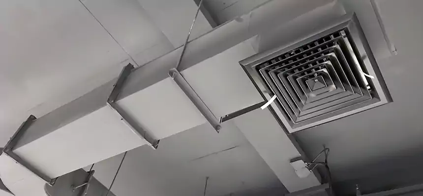 Restorative Allergy Relief Vent Cleaning – Coil, Blower & Housing Detail in Terre Haute