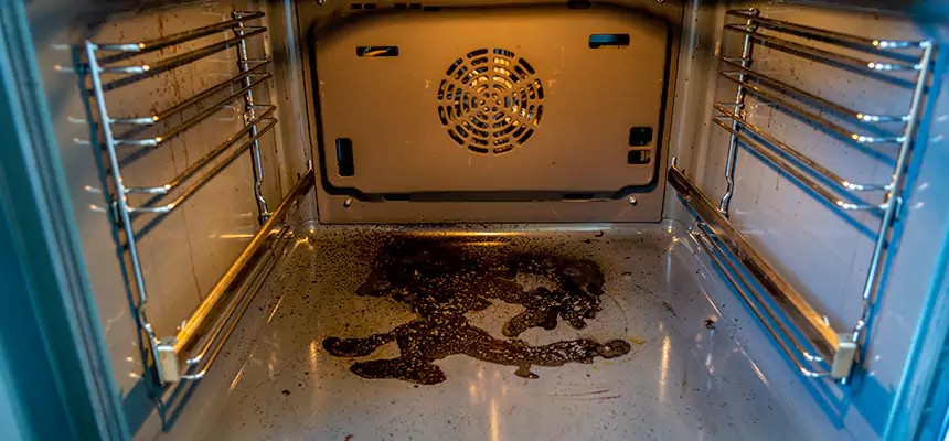 Our Dryer Vent Mold Cleaning Services in Terre Haute, IN