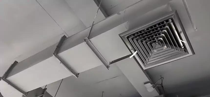 Our Pest Removal From Ducts Services in Terre Haute, IN