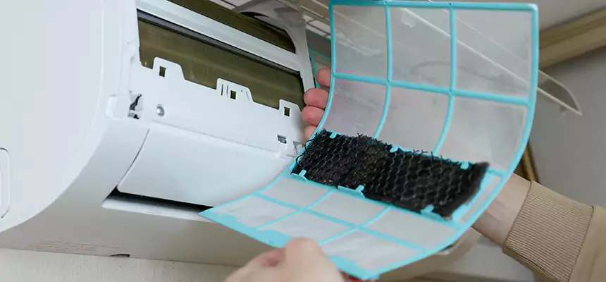 Gentle Ductwork Odor-Control Pet Dander Duct Cleaning in Terre Haute, IN