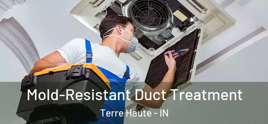  Mold-Resistant Duct Treatment Terre Haute - IN