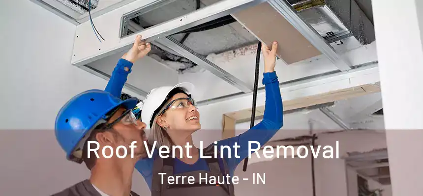 Roof Vent Lint Removal Terre Haute - IN