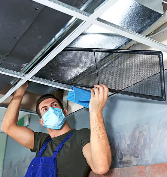 About Air Duct Bacteria Removal in Terre Haute