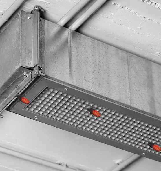 About Air Duct Cockroach Removal in Terre Haute, IN