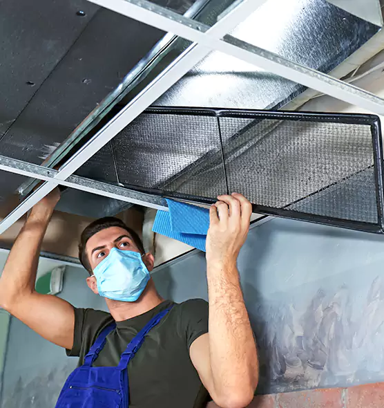 Professional Air Duct Pollen Cleaning in Terre Haute, IN