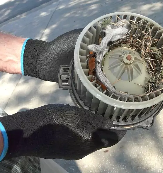 About Air Duct Rat Removal in Terre Haute, IN