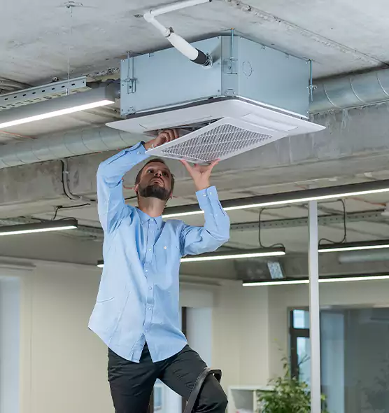 Advanced Rodent Droppings In Vents in Terre Haute, IN