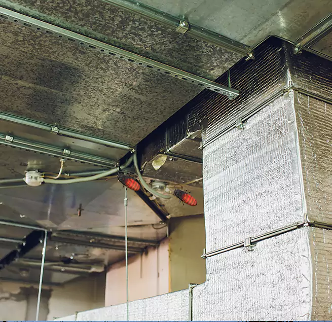 Why Homeowners & Businesses Trust Us in Terre Haute, IN?