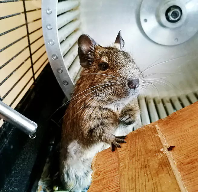 Why Homeowners & Businesses Trust Us Terre Haute, IN?