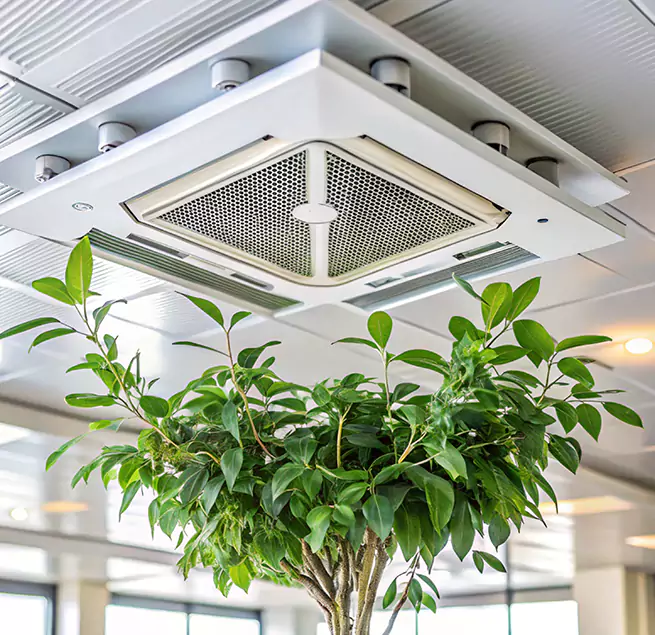 Why Homeowners & Businesses Trust Us in Terre Haute, IN?