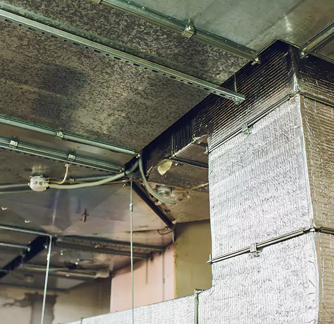 Why Homeowners & Businesses Trust Us in Terre Haute, IN?